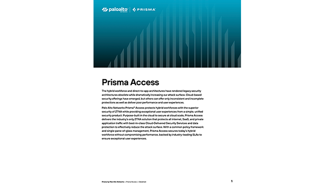 Prisma Access 产品说明