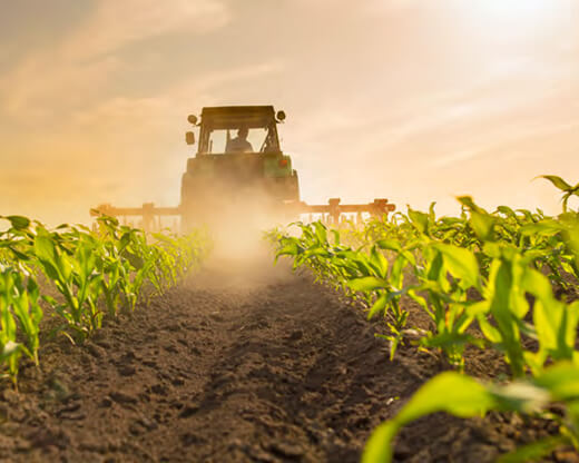 Agricultural Business Photo